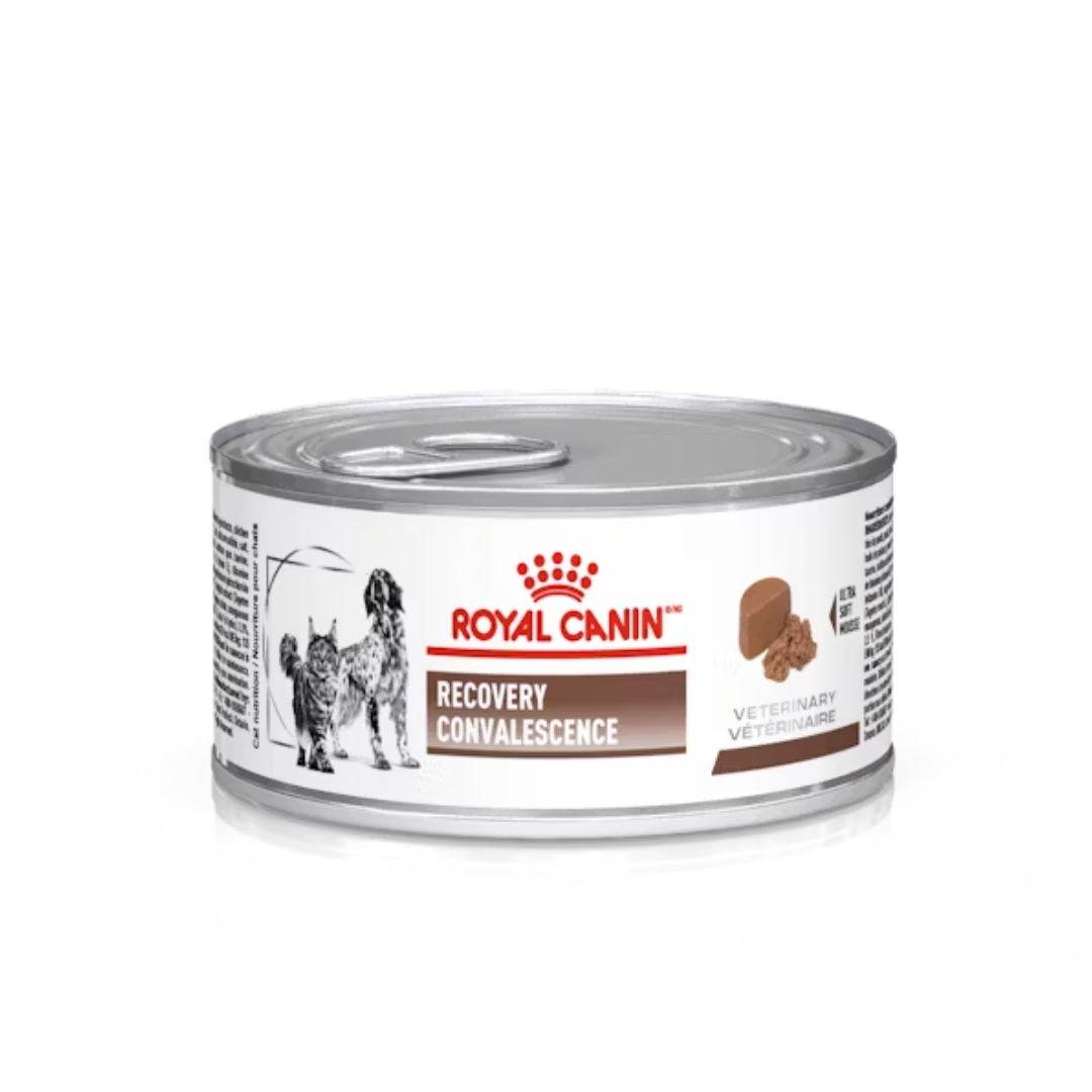 Royal Canin Recovery Alimento Húmedo – Punto croquetas