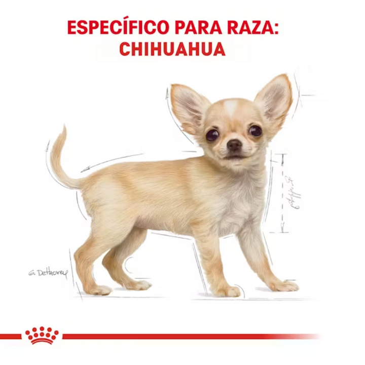 Royal Canin Chihuahua Cachorro