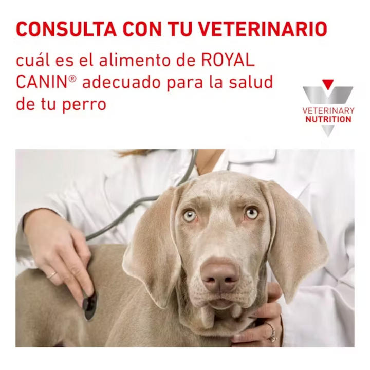 Royal Canin Hydrolyzed Protein Adult HP Canine