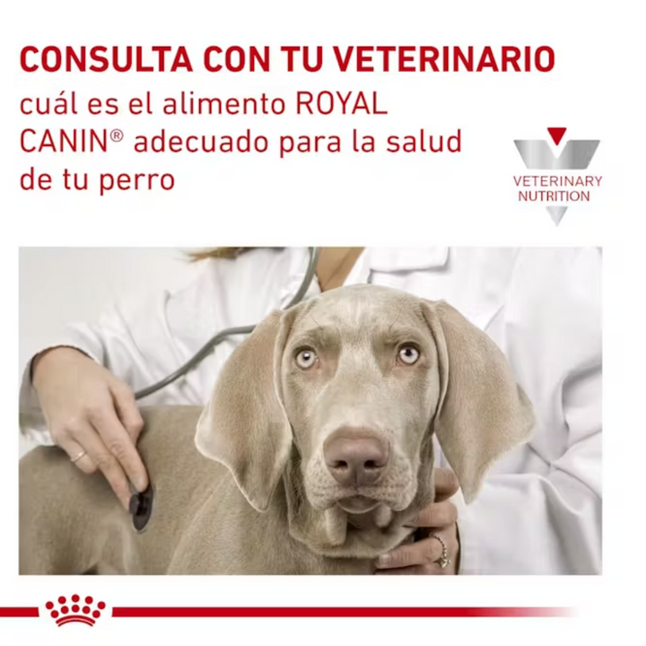 Royal Canin Satiety Support Weight Management