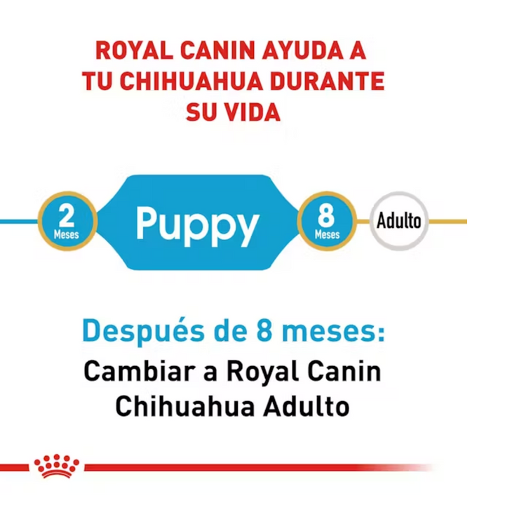 Royal Canin Chihuahua Cachorro
