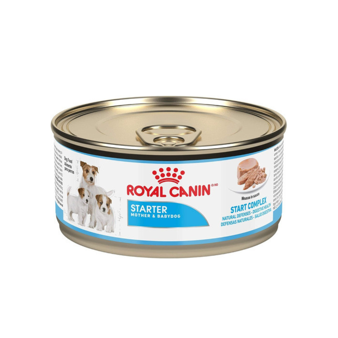 Royal Canin Starter Mother & Babydog mousse Alimento Húmedo