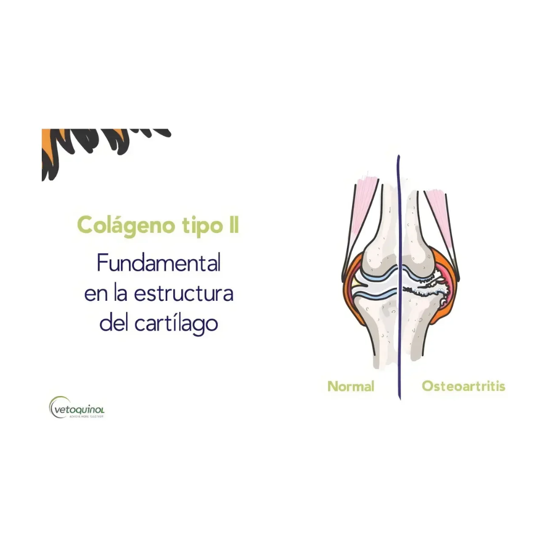 Flexadin Advanced Original Suplemento Masticable p/articulaciones Perro