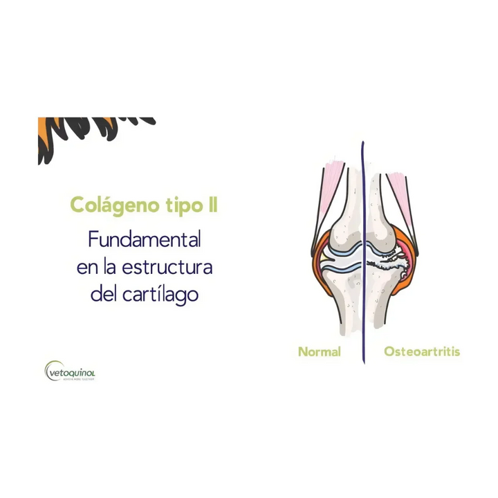 Flexadin Advanced Original Suplemento Masticable p/articulaciones Perro