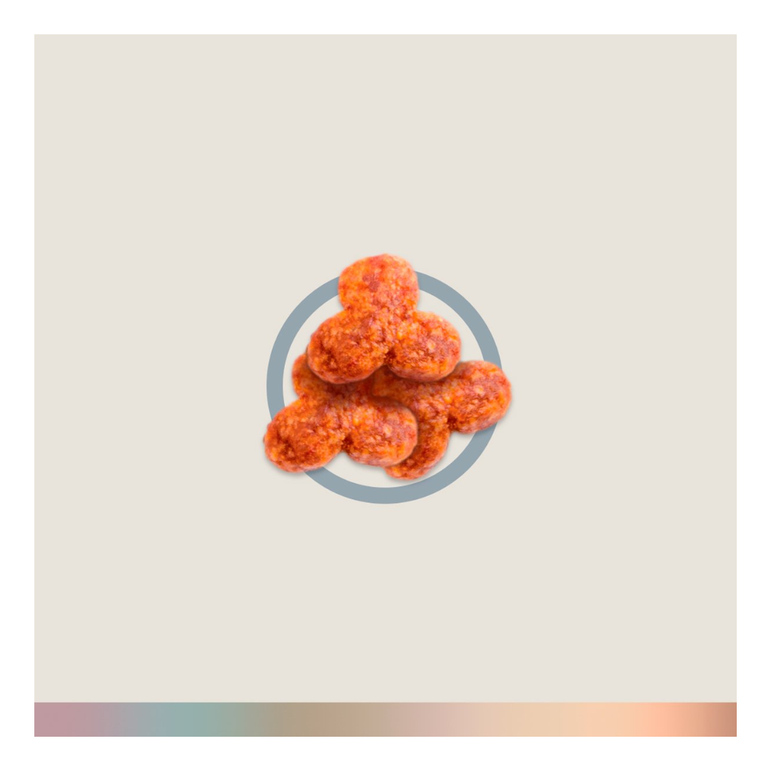 FullTrust Alimento Perro Adulto Raza Pequeña Receta Pollo y Res