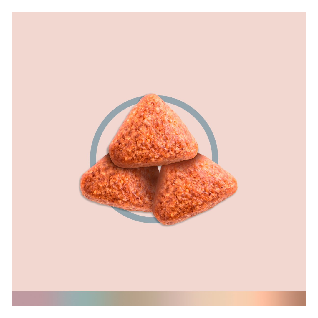 FullTrust Alimento para Perro Senior Todas las Razas Receta Pollo y Res