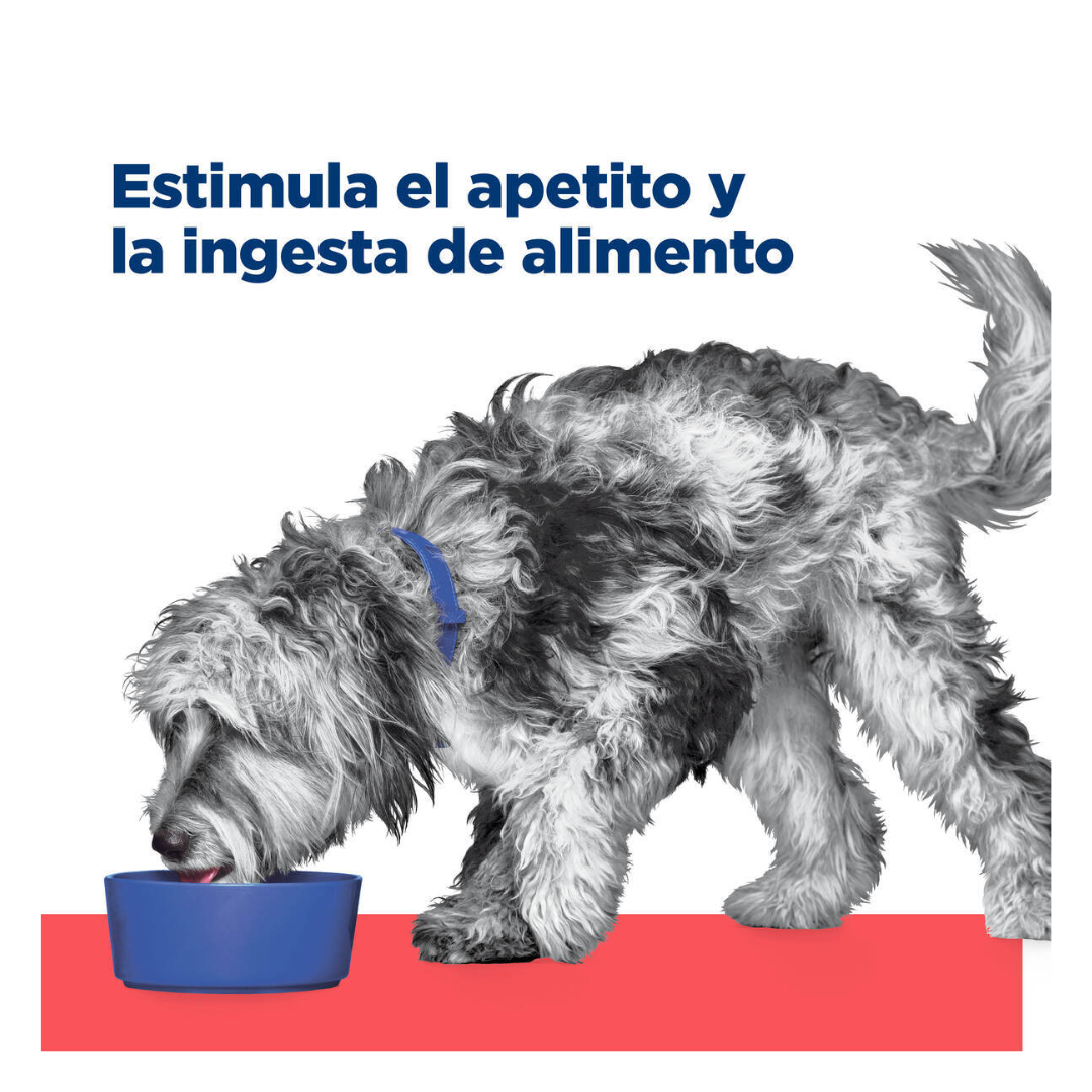 Hill's Prescription Diet Onc-Care Alimento Húmedo Oncológico para Perro Adulto, 354 g