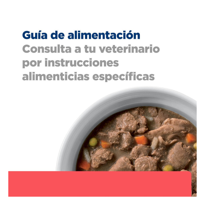 Hill's Prescription Diet Onc-Care Alimento Húmedo Oncológico para Perro Adulto, 354 g