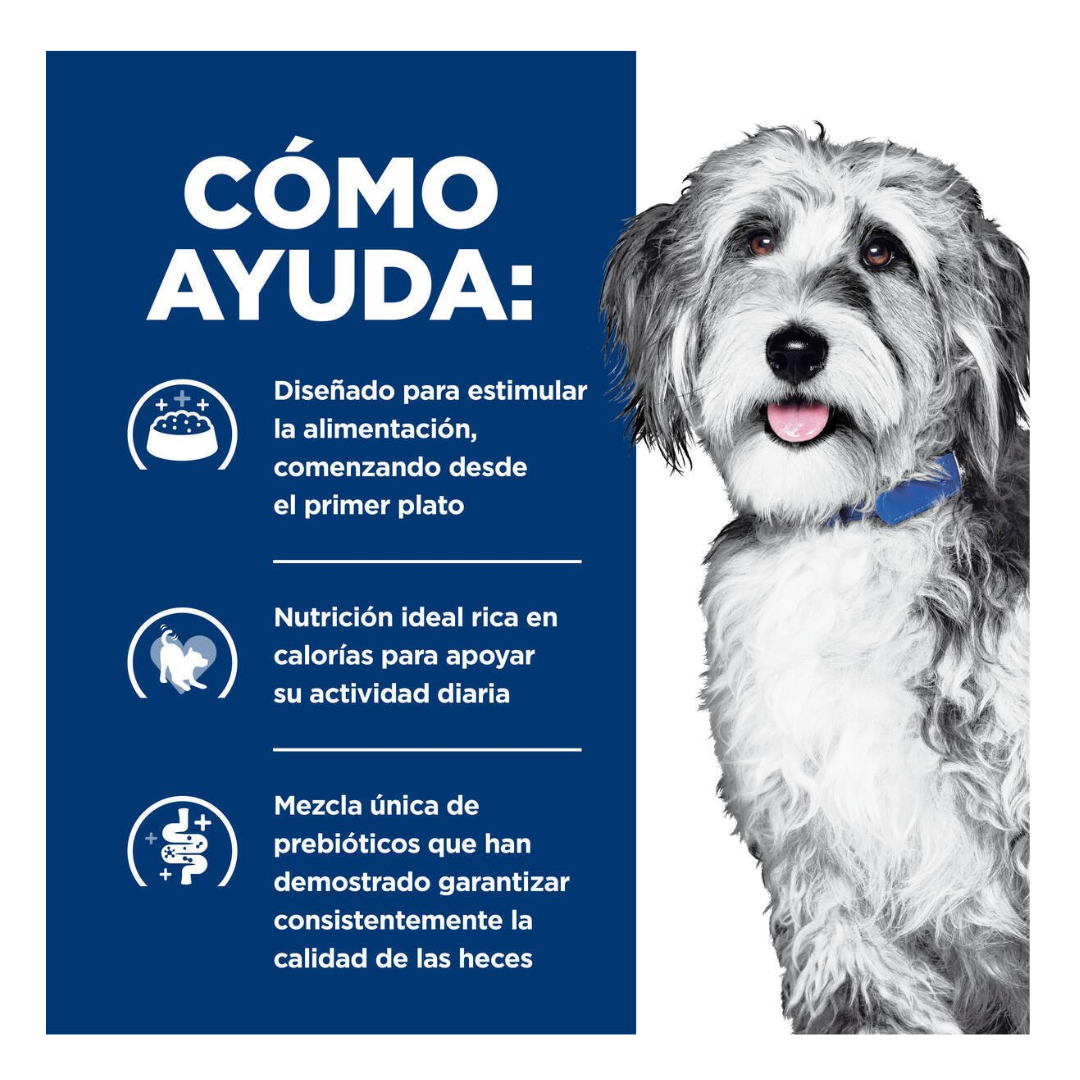 Hill's Prescription Diet Onc-Care Alimento Húmedo Oncológico para Perro Adulto, 354 g