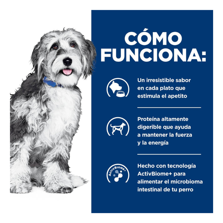 Hill's Prescription Diet Onc-Care Alimento Húmedo Oncológico para Perro Adulto, 354 g