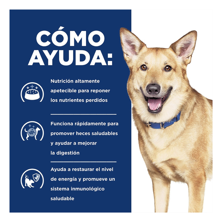Hill's Prescription Diet i/d Alimento Húmedo Cuidado Digestivo para Perro Adulto Receta Pollo en Estofado, 354 g
