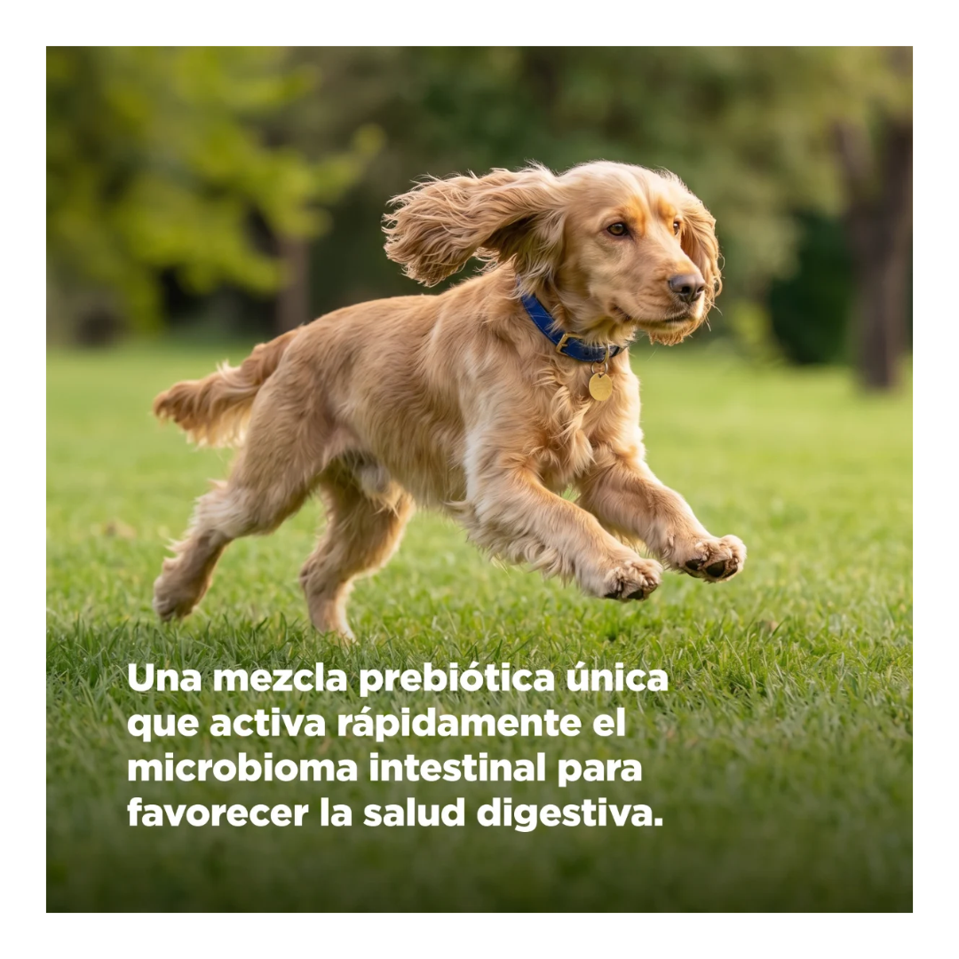 Hill's Prescription Diet z/d Croquetas para Alergias Alimentarias para Perro Adulto Receta Pollo,