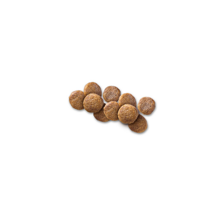 Hill's Prescription Diet z/d Food Sentivities Alergias Alimentarias para Perro Adulto Raza Pequeña