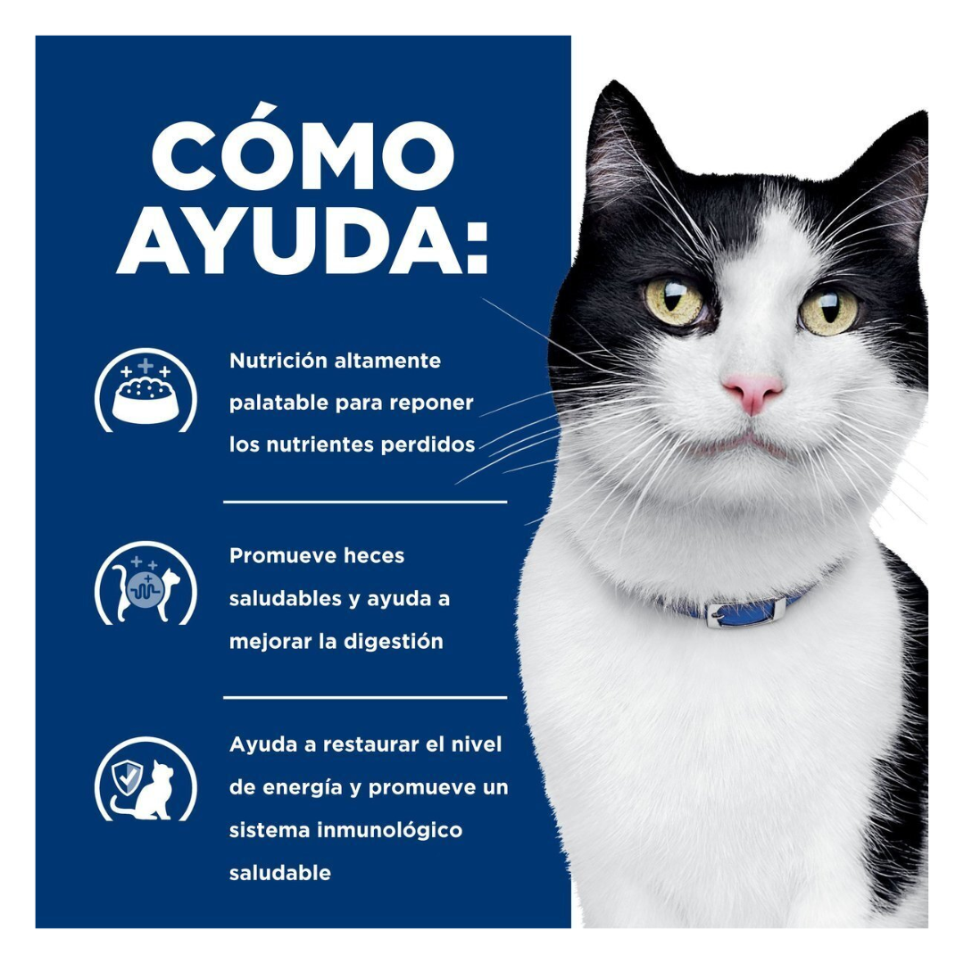 Hill's Prescription Diet i/d Alimento Húmedo Cuidado Digestivo para Gato, 156 g