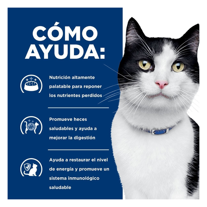 Hill's Prescription Diet i/d Alimento Húmedo Cuidado Digestivo para Gato, 156 g