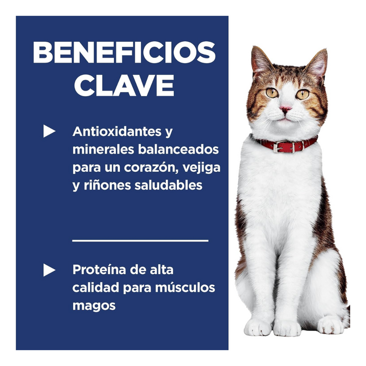 Hill's Science Diet 7+ para Gato Senior Receta Pollo