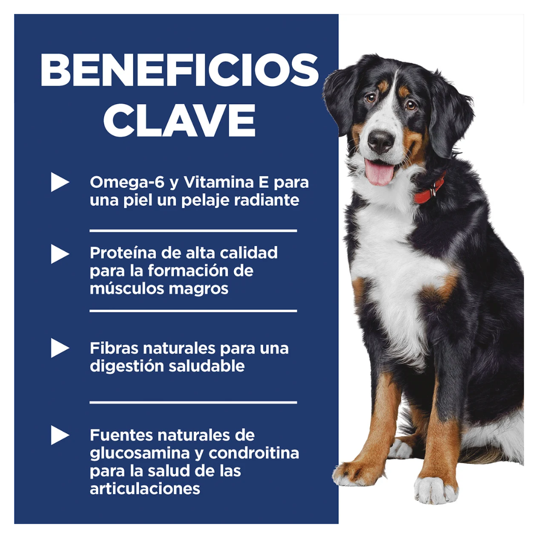 Hill's Science Diet Large Breed Alimento Seco para Perro Adulto Raza Grande Receta Pollo