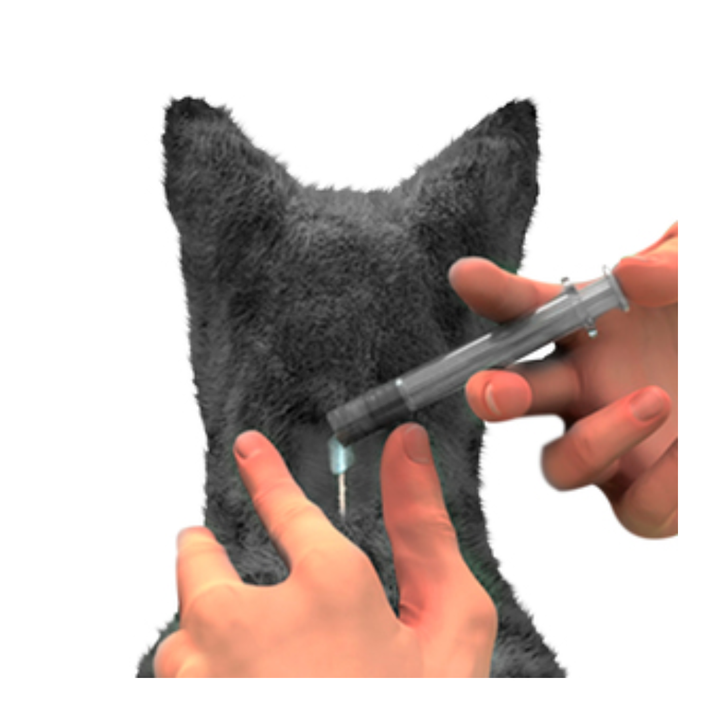 NexGard Combo Pipeta Antiparasitaria Interna y Externa para Gato, 0.8 a 2.5 kg