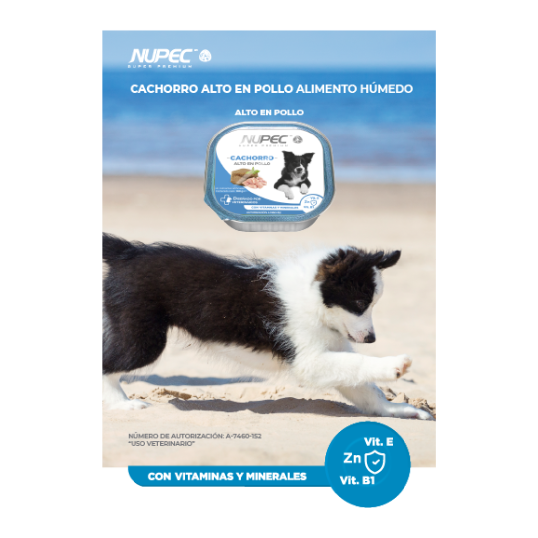 Nupec Cachorro alto en pollo 100 g Alimento Humedo