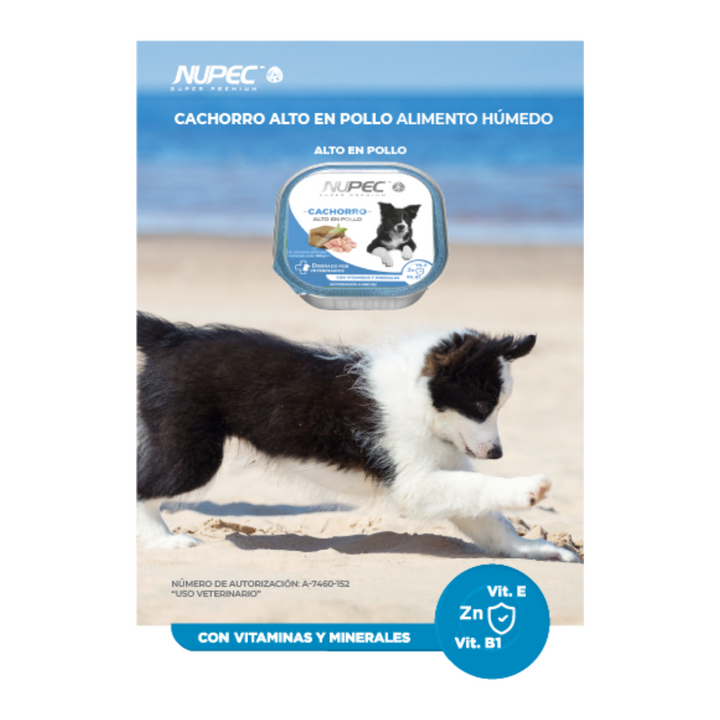 Nupec Cachorro alto en pollo 100 g Alimento Humedo