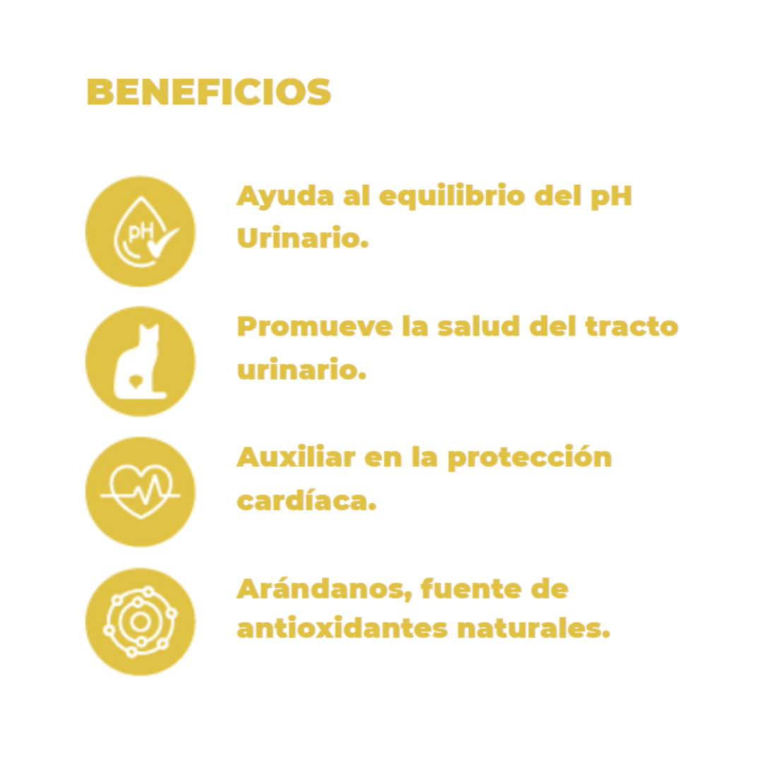 Nupec Felino Urinary 100 g