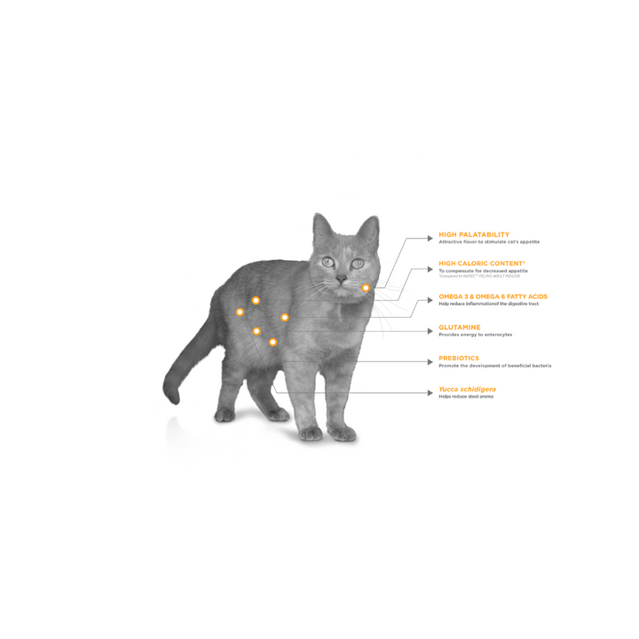 Nupec Super Premium Felino Digestive Health