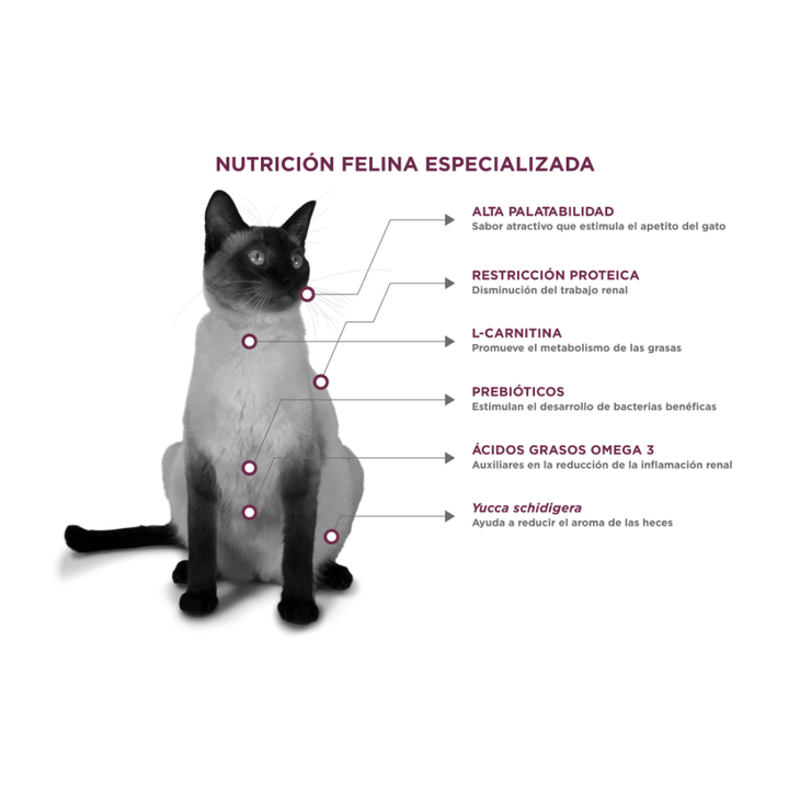 Nupec Super Premium Felino Renal care