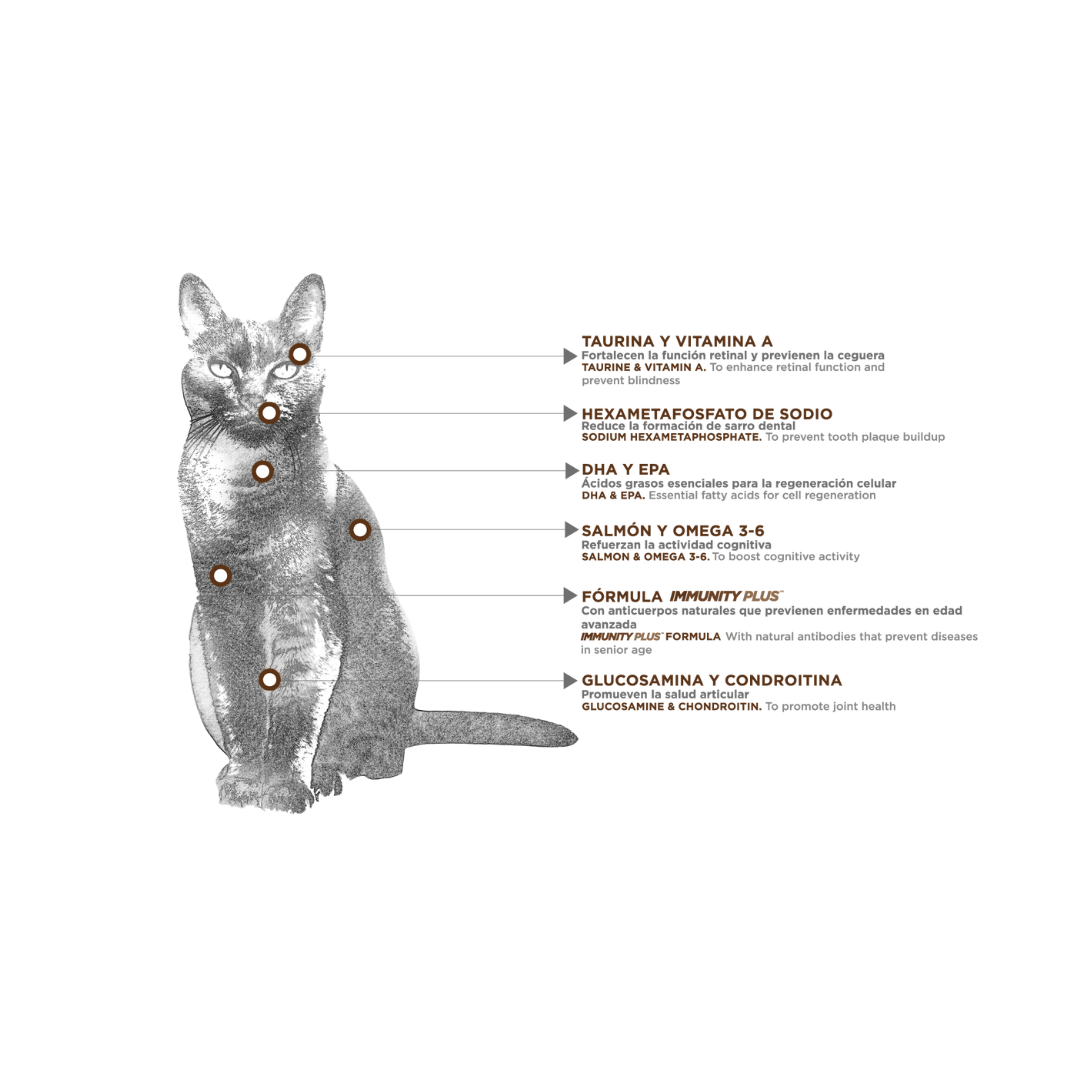 Nupec Super Premium Felino Senior