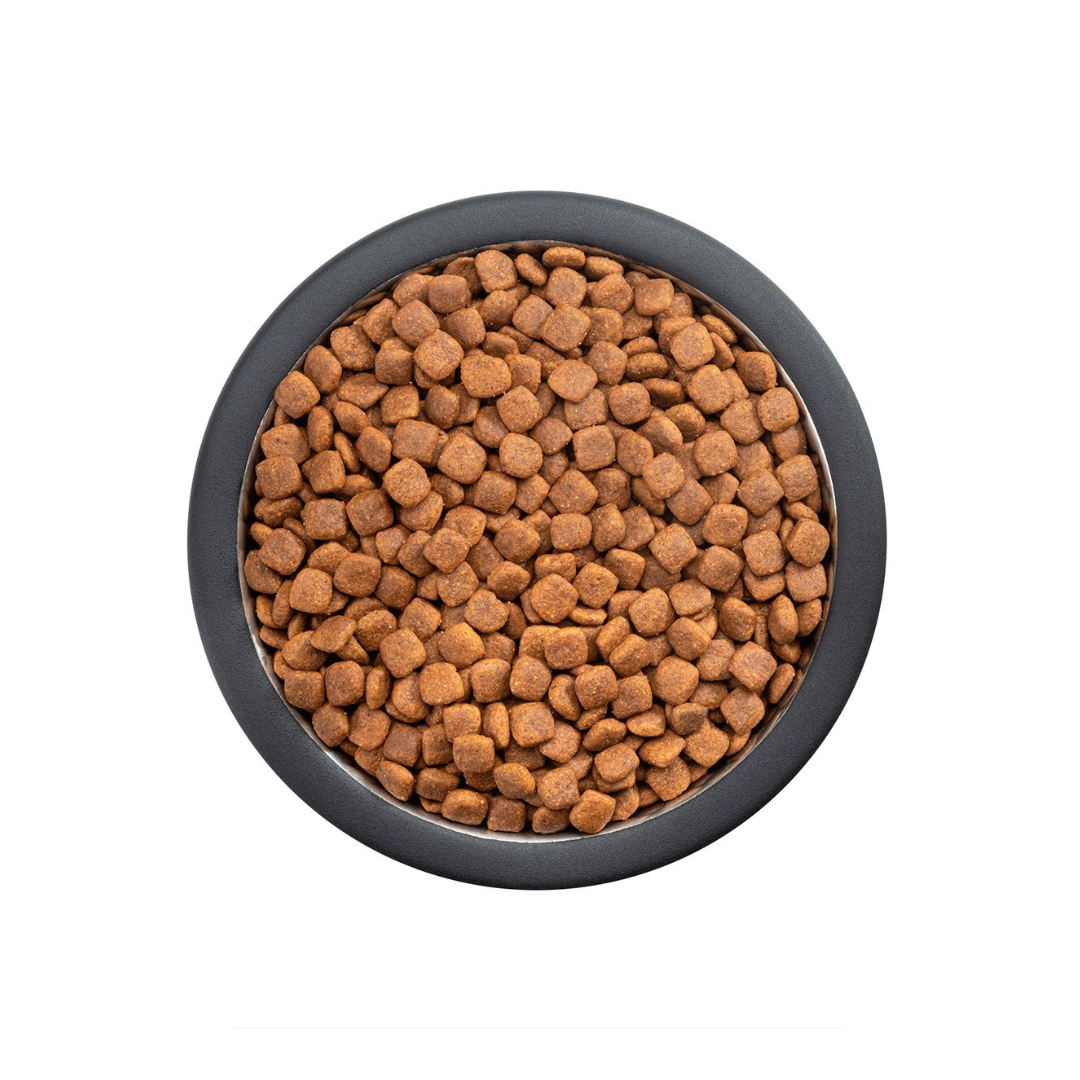 Pro Plan Active Mind Optiage Alimento para Perro Senior Raza Pequeña Receta Pollo