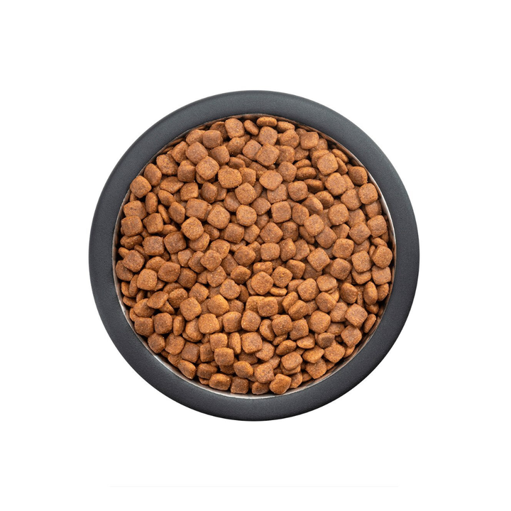 Pro Plan Active Mind Optiage Alimento para Perro Senior Raza Pequeña Receta Pollo