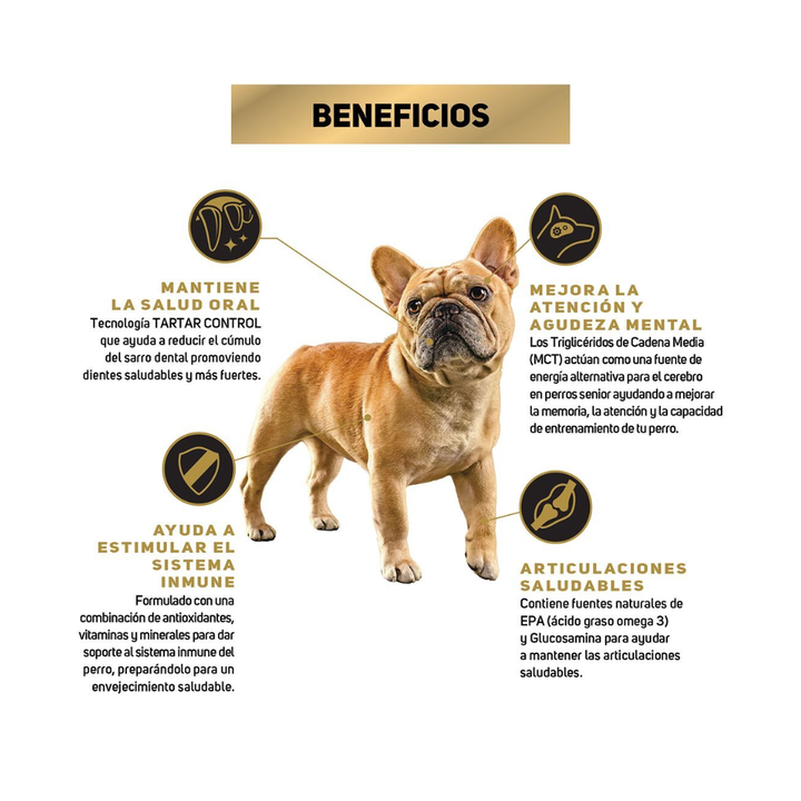 Pro Plan Active Mind Optiage Alimento para Perro Senior Raza Pequeña Receta Pollo