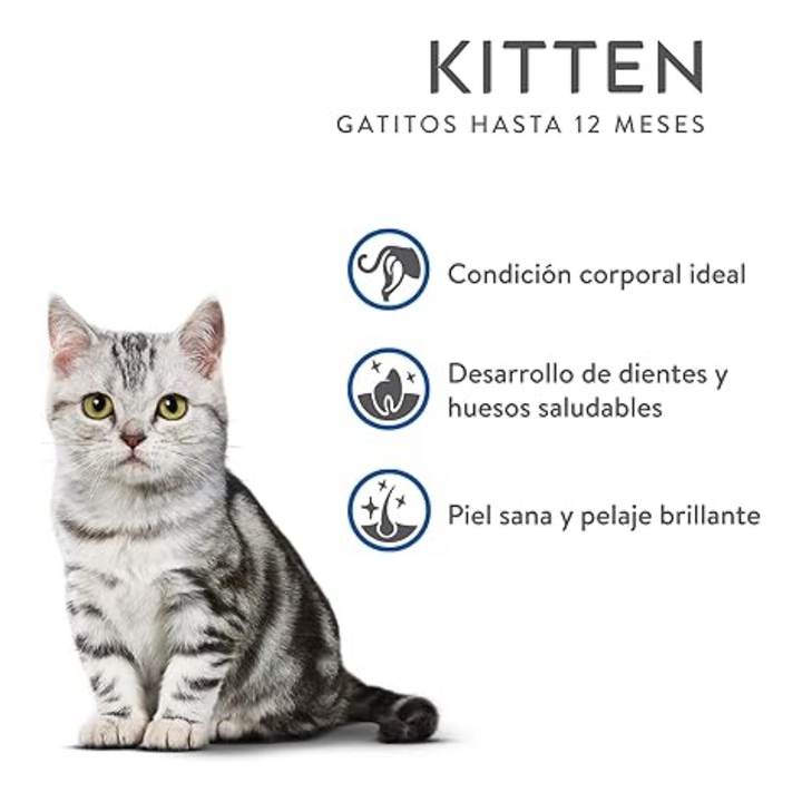 Purina Excellent Kitten Pollo y Arroz