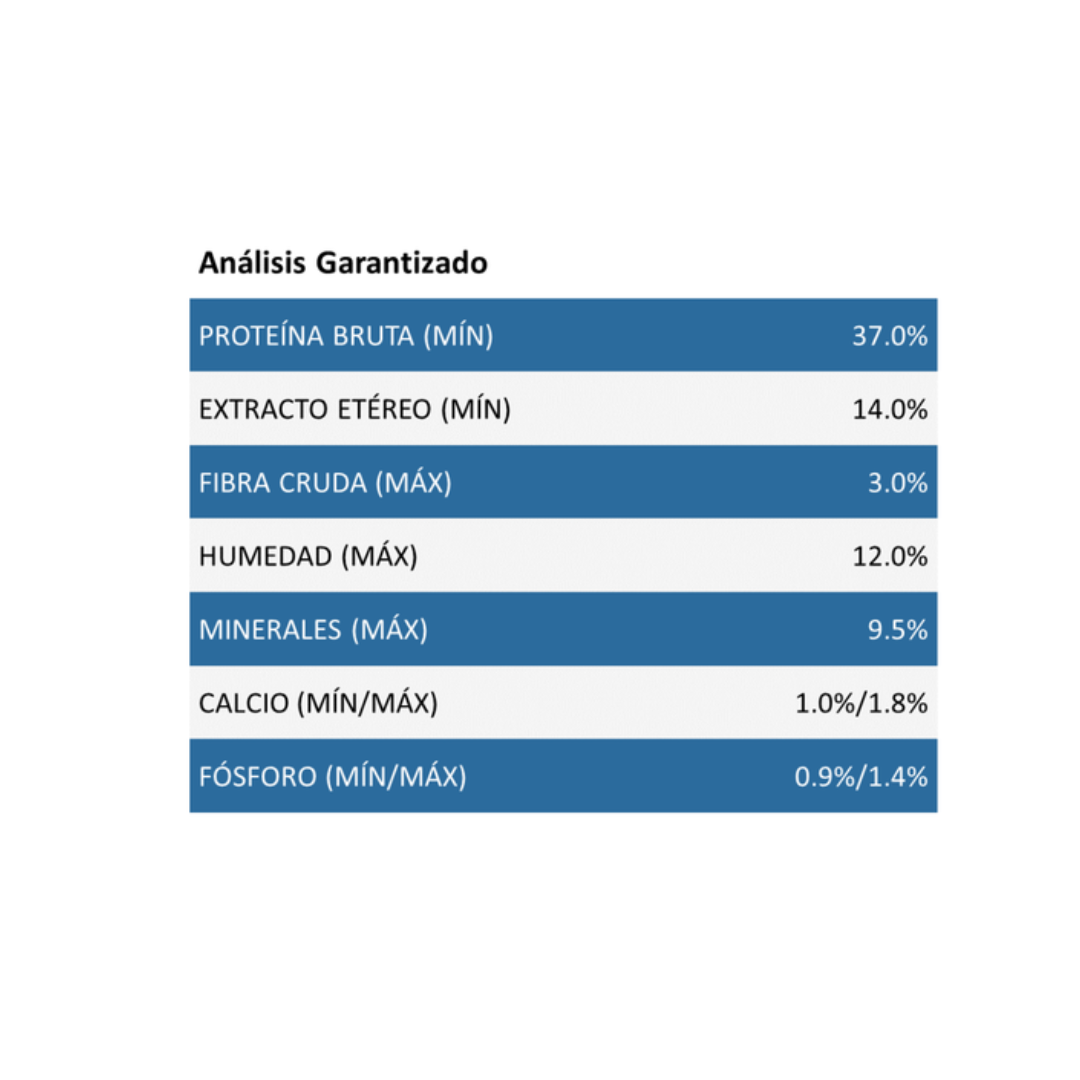 Purina Excellent Kitten Pollo y Arroz