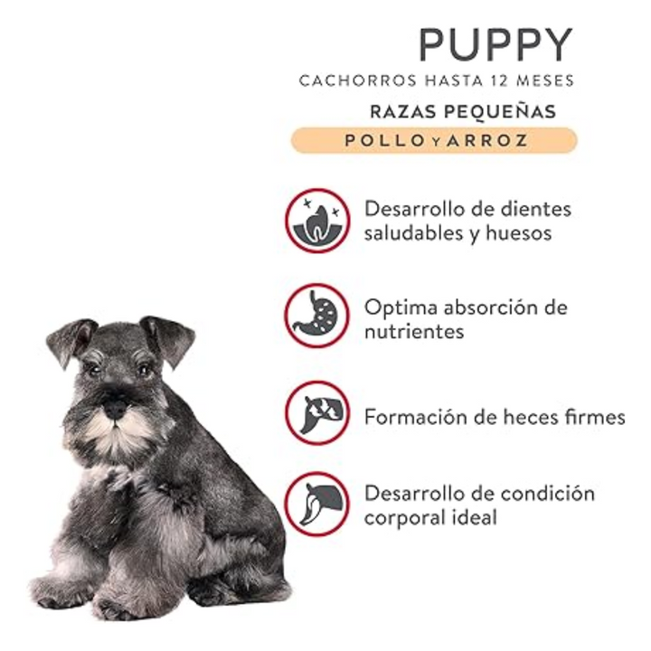 Purina Excellent Puppy Pollo y Arroz Raza Pequeña
