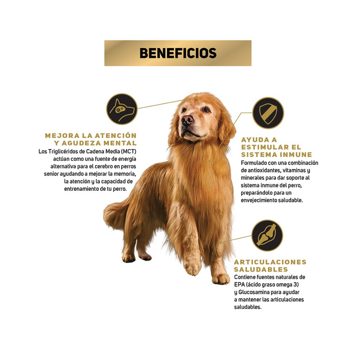 Purina Pro Plan Active Mind Optiage Dog Senior Raza Mediana / Grande