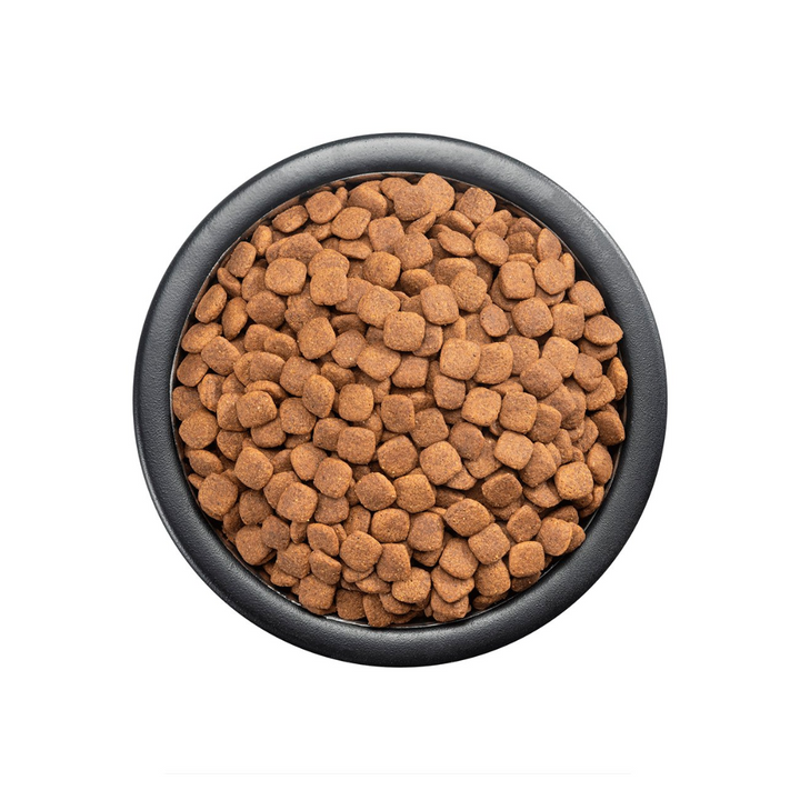 Purina Pro Plan Active Mind Optiage Dog Senior Raza Mediana / Grande