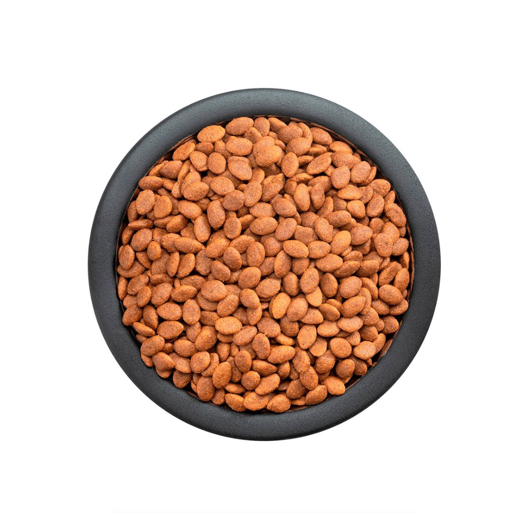 Purina Pro Plan Optiderma Sensitive Skin Perro Cachorro Todas las Razas Salmon y Arroz