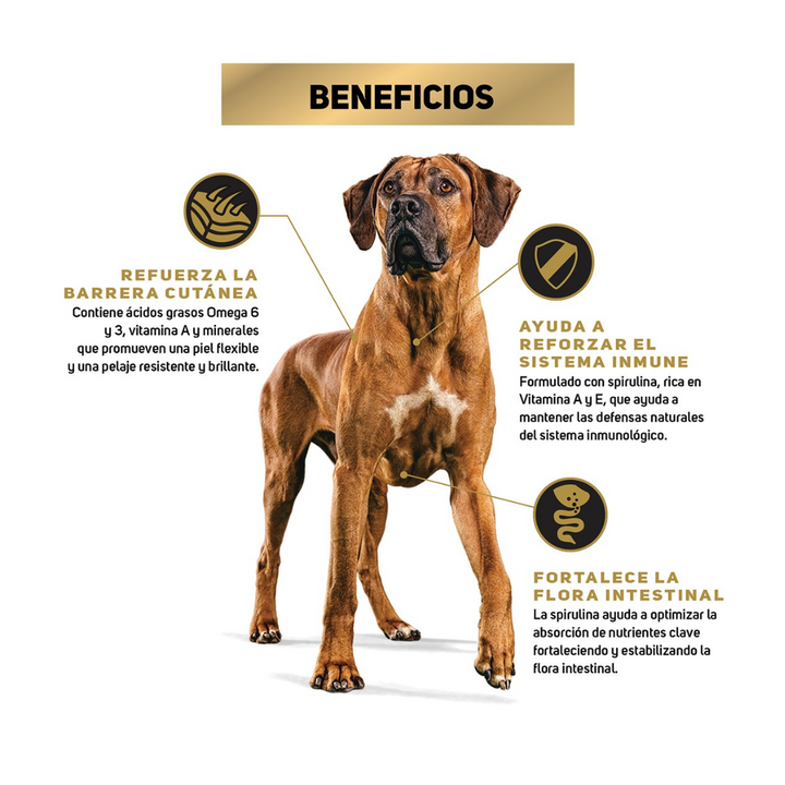 Purina Pro Plan Optihealth Dog Adult Raza Grande