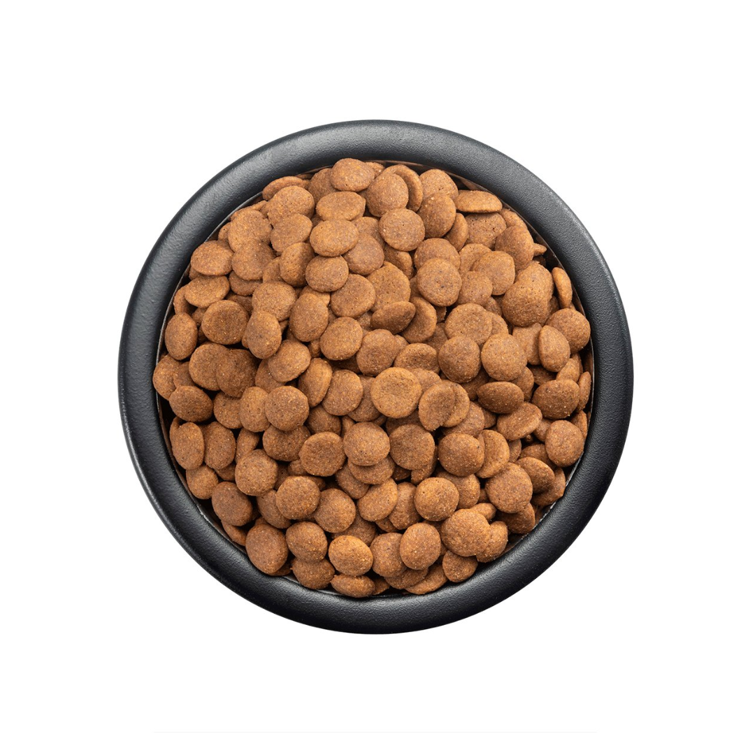 Purina Pro Plan Optistar Dog Puppy Razas Grandes