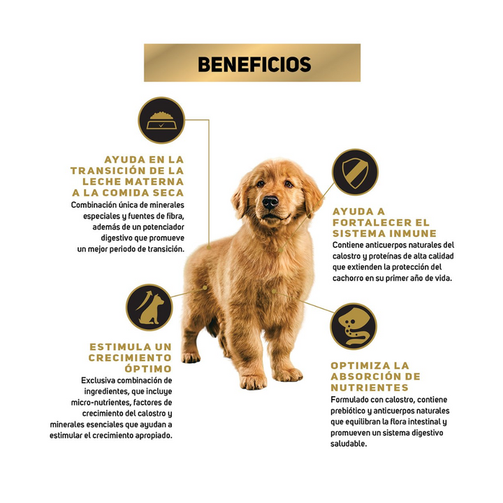 Purina Pro Plan Optistar Dog Puppy Razas Medianas