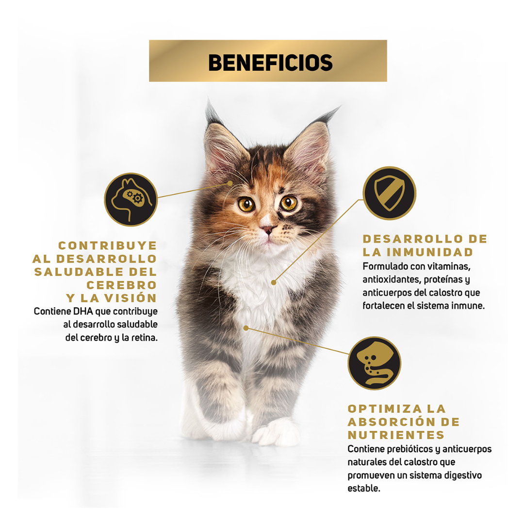 Purina Pro Plan Optistart Alimento Seco para Gatito