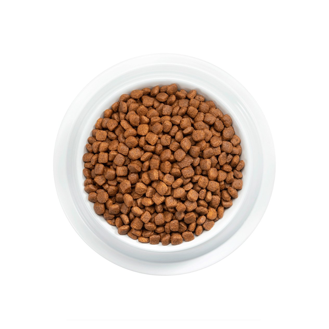 Purina Pro Plan Optistart Alimento Seco para Gatito