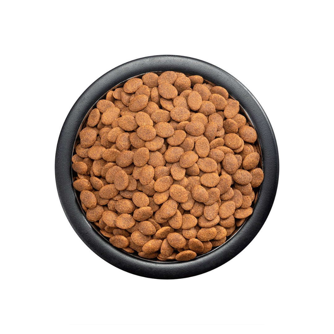 Purina Pro Plan Sensitive Skin Dog Adulto Razas Medianas y Grandes