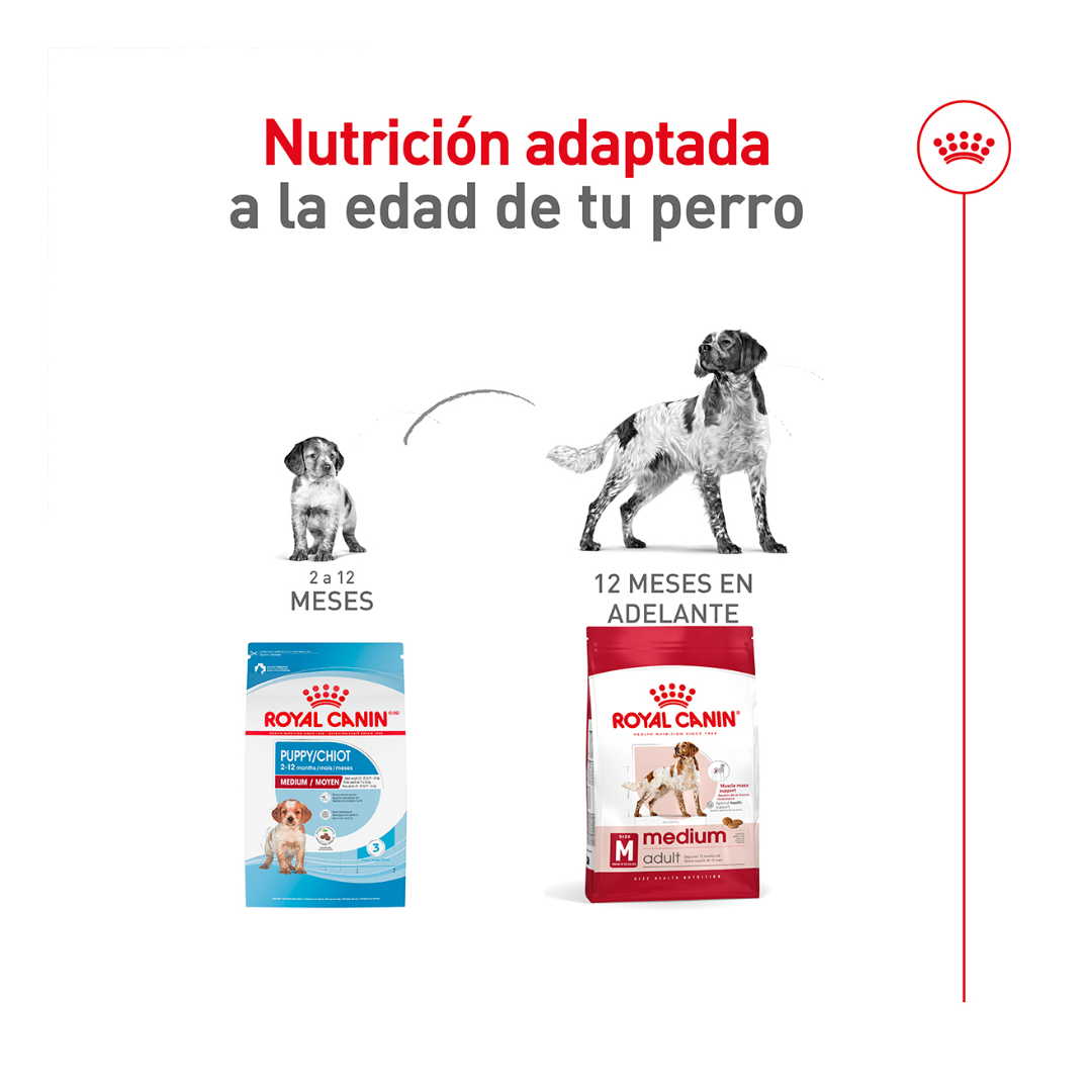 Royal Canin Alimento Seco para Perro Adulto Raza Mediana, 13.6 kg