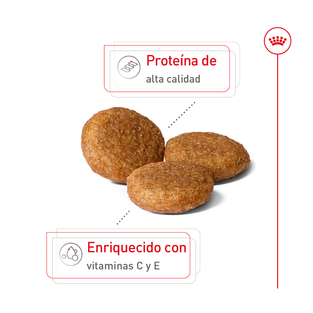 Royal Canin Alimento Seco para Perro Adulto Raza Mediana, 13.6 kg