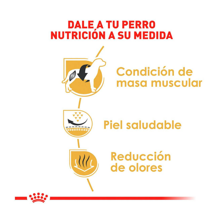 Royal Canin Alimento Seco para Perro Adulto Raza Bulldog Francés