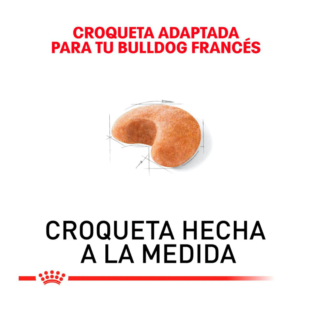 Royal Canin Alimento Seco para Perro Adulto Raza Bulldog Francés
