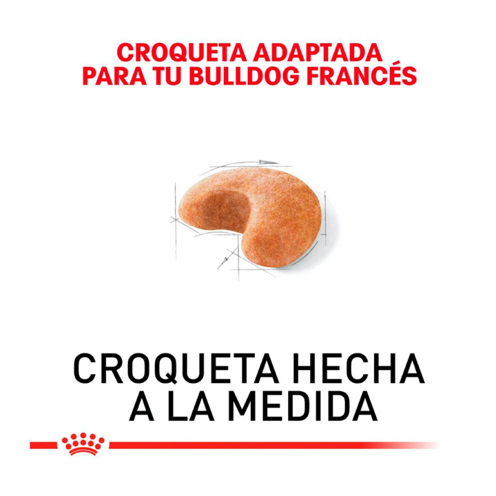 Royal Canin Alimento Seco para Perro Adulto Raza Bulldog Francés