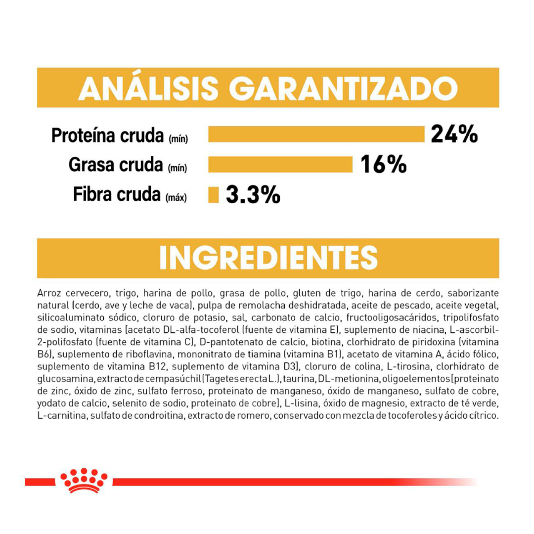 Royal Canin Alimento Seco para Perro Adulto Raza Bulldog Francés