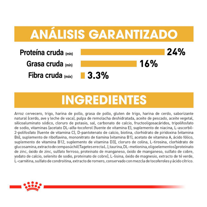 Royal Canin Alimento Seco para Perro Adulto Raza Bulldog Francés